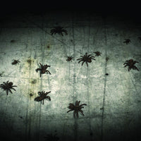 Spider DVD projection Halloween