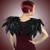Crow Wings