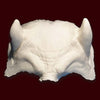 foam latex devil horns and brow prosthetic appliance