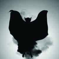 DVD Dracula turns into bat effect decoration