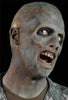 zombie undead cfx latex mask