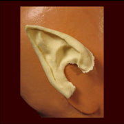 Foam latex costume noses, ears, horns, forehead appliances, brow prosthetics