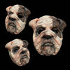 Bulldog prosthetic mask with makeup from several angles
