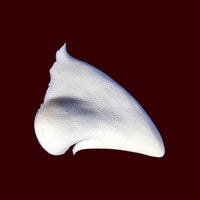 Despicable Cobblepot Nose