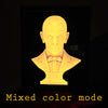 Make your own Watching Statue Illusion
