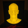 Make your own Watching Statue Illusion