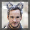 Grey Wolf clip-on ears