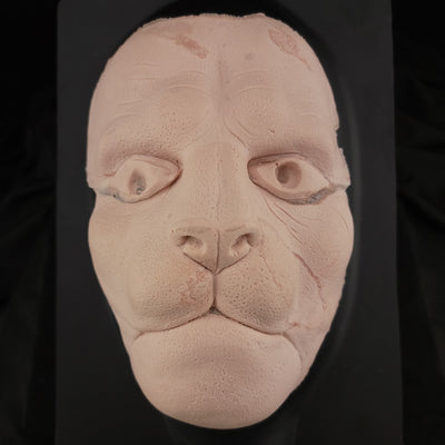 Imperfect Lion or Tiger Foam Latex Prosthetic