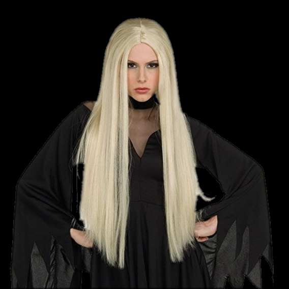 28 inch long blond wig