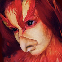 Professional bird beak prosthetic appliance