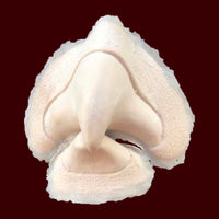 foam latex bird beak prosthetic