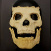 Imperfect CFX Skull