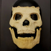Imperfect CFX Skull