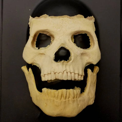 Imperfect CFX Skull