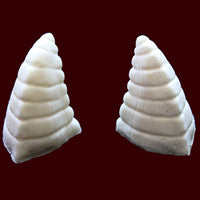 Foam latex medium pointed horns