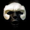 Caveman forehead prosthetic