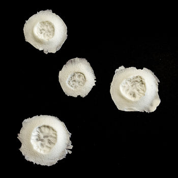 Bullet Holes prosthetic set #167