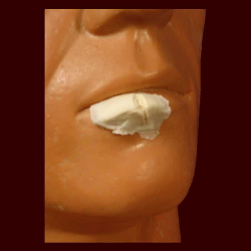 split cut lip halloween makeup prosthetic appliance