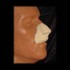 leonine lion nose appliance makeup halloween