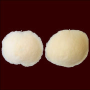 Foam latex nipple covers body paint