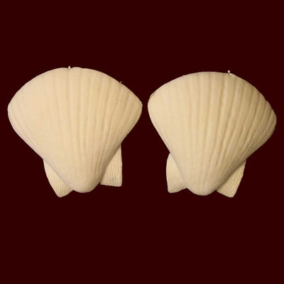 sea shell nipple covers