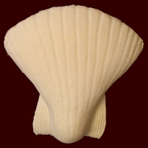 sea shell merkin pubic cover
