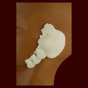 seashell ear covers for face or body paint