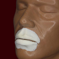 costume plump lips