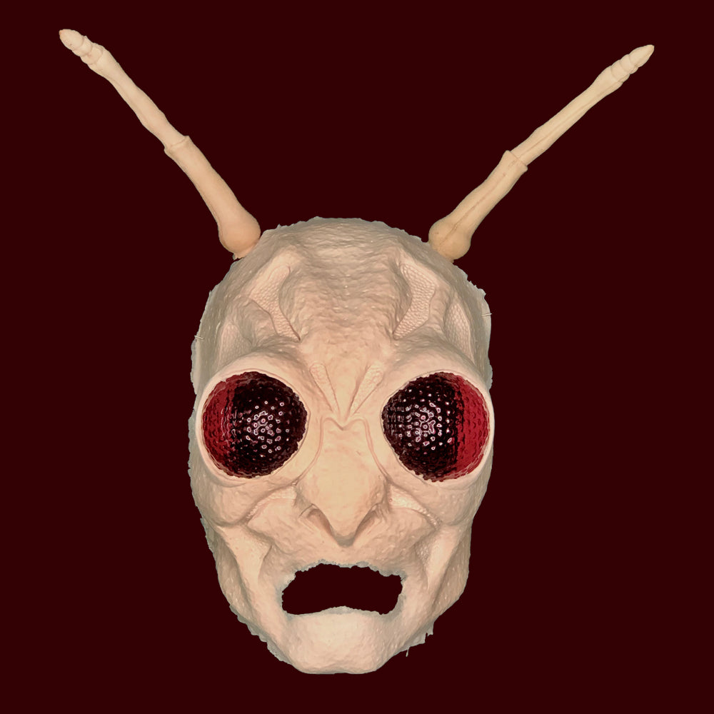 Insect | MostlyDead.com