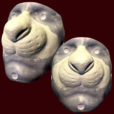 Noses | MostlyDead.com