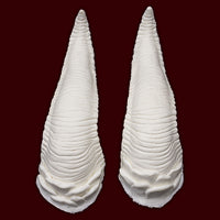 Large costume goat horns of foam latex