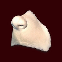 foam latex who nose appliance