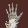 foam latex zombie hand, sfx makeup prosthetic