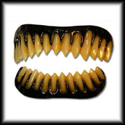 Black Raptor Teeth