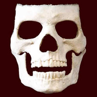 Skull makeup effects appliance mask
